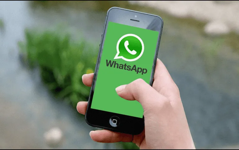 ¿Borraste un mensaje de WhatsApp por equivocación? Así puedes recuperarlo