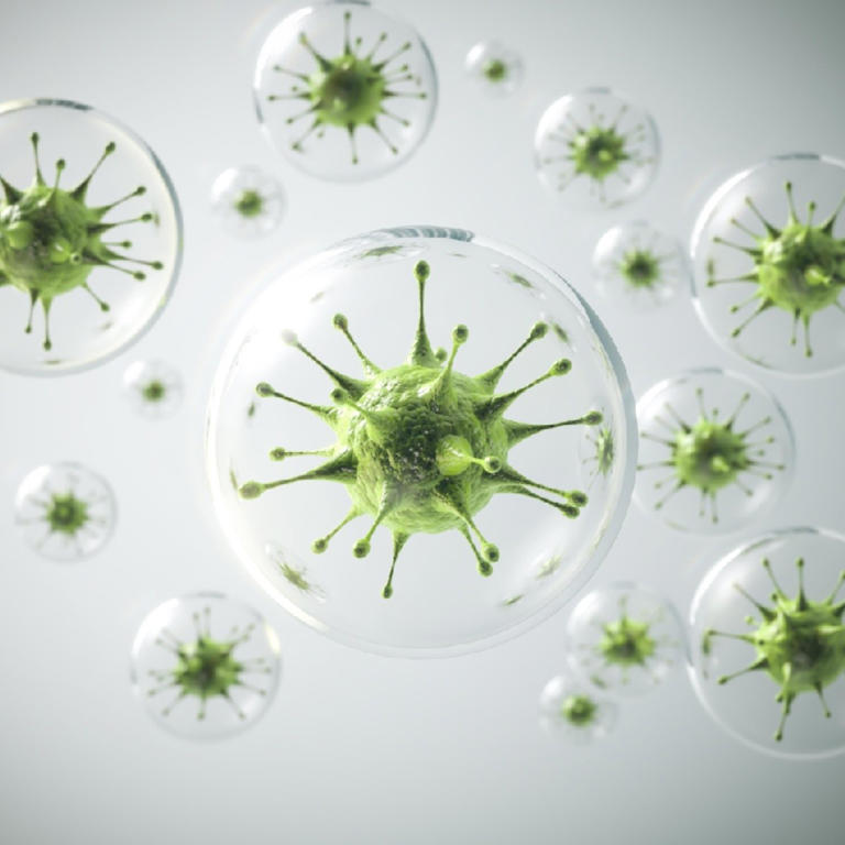 ¿Cuáles son las bacterias mas peligrosas? OMS da a conocer las mas resitentes a antibióticos