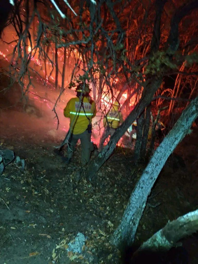 Arrasa incendio con 60 hectáreas