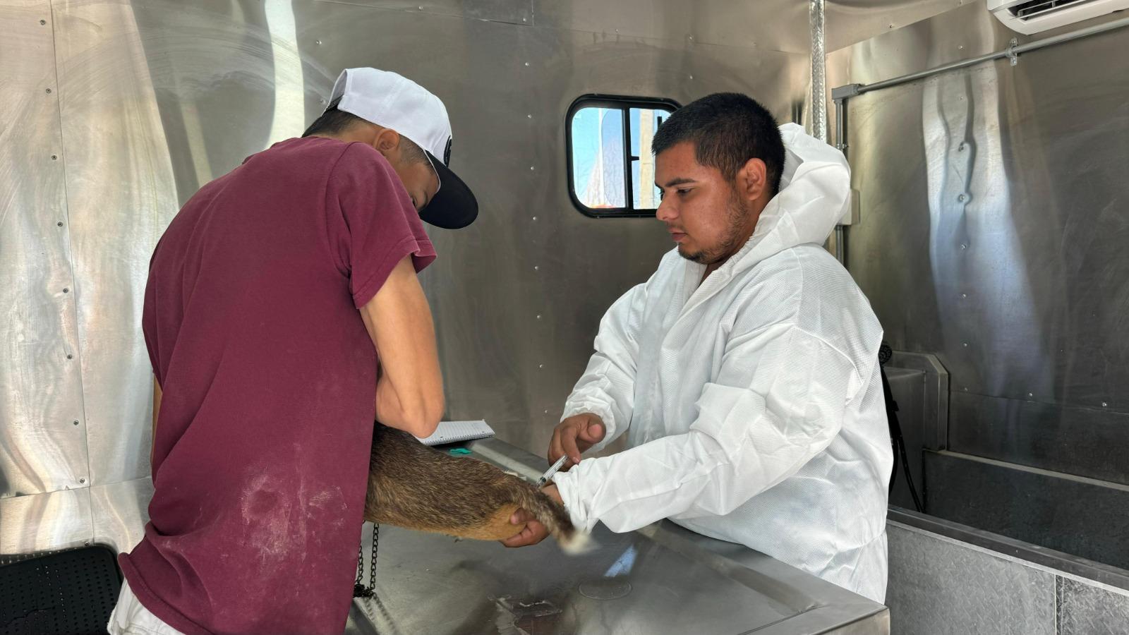 Invitan a esterilizar a mascotas en CF