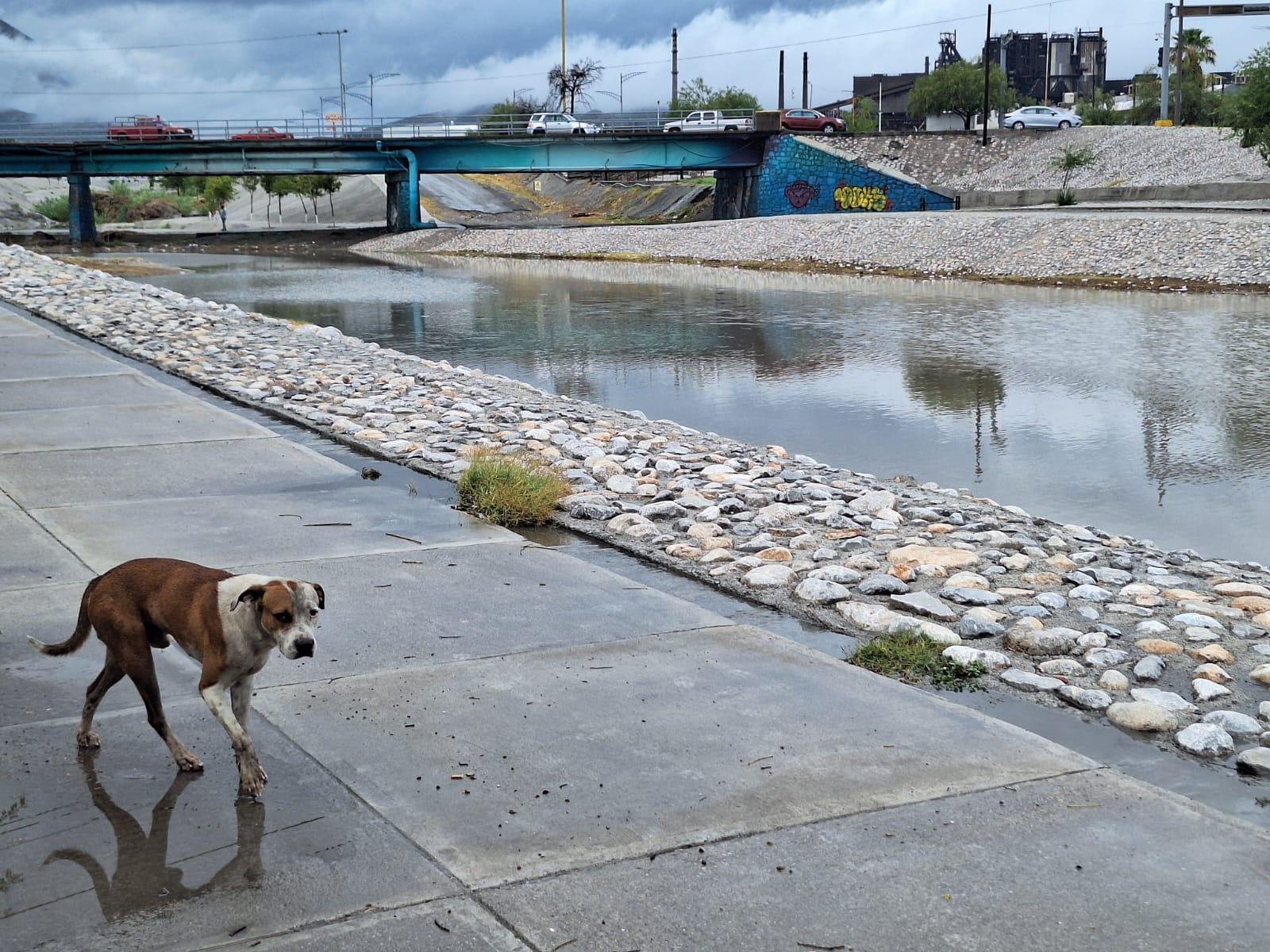 Renace Paseo Río Monclova
