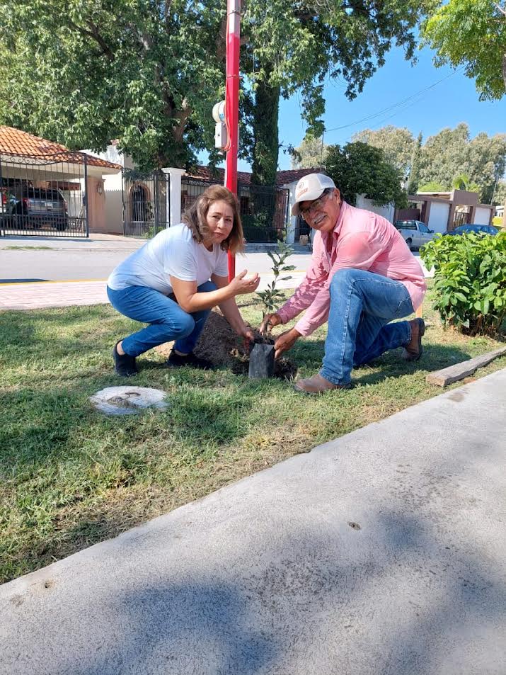 Reforesta 4C plazas públicas