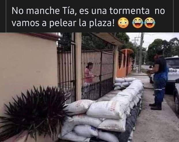 “No me quedes mal Alberto”; los memes