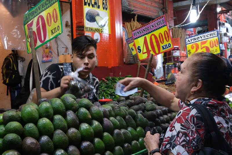 EU levanta ‘castigo’ a México: Quita veto al aguacate michoacano y mango… con esta condición