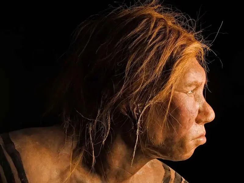 Descubren el primer caso de síndrome de Down en neandertales