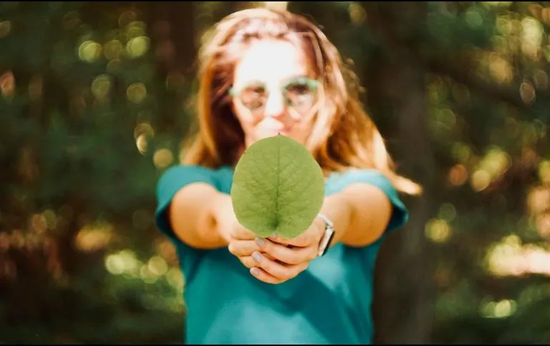 ¿Por qué celebramos hoy el Día del Medio Ambiente?