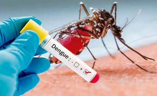 La ‘invasión’ del dengue: Advierten que afectará a 8 de cada 10 mexicanos