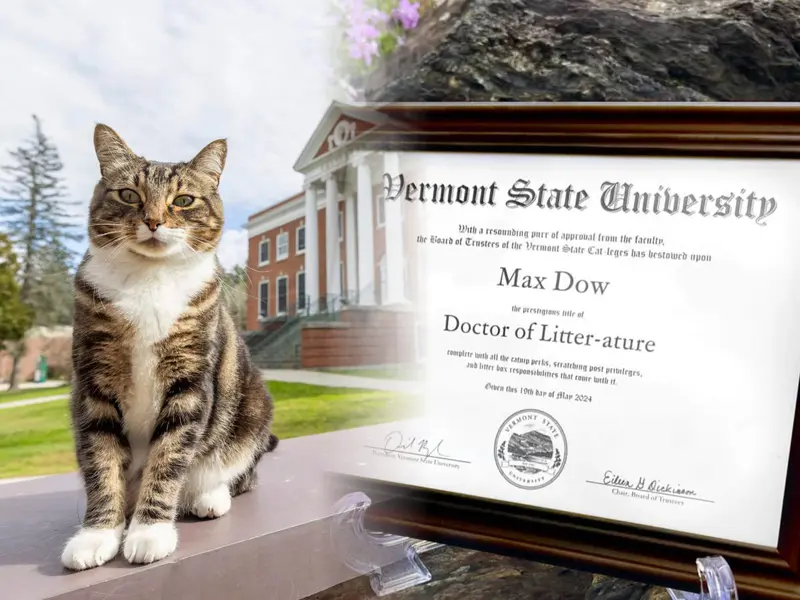 Gato recibe doctorado en una universidad de EU