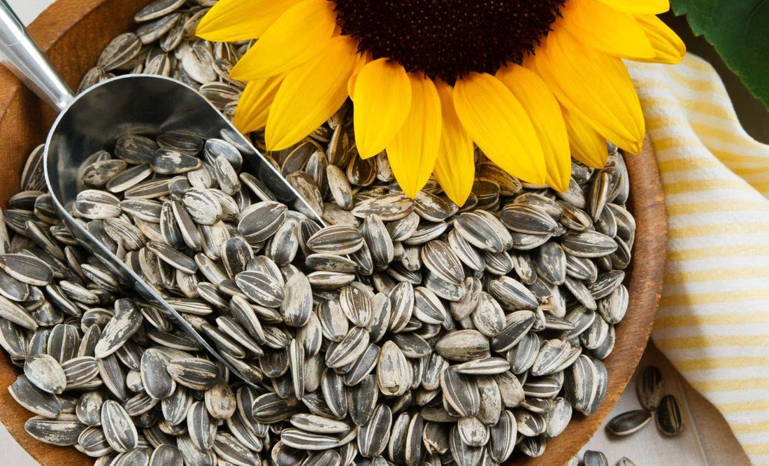 Cuáles son los nutrientes de las semillas de girasol