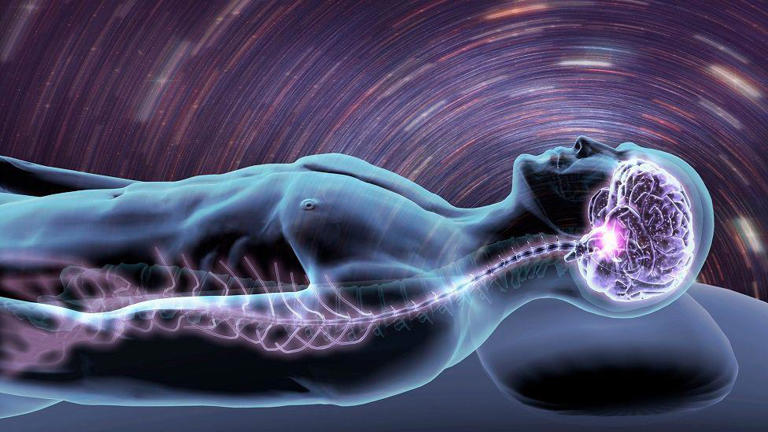 ¿Qué pasa en el cerebro cuando estamos muriendo?: lo que descubrió la neurocientífica Jimo Borjigin sobre esos últimos momentos