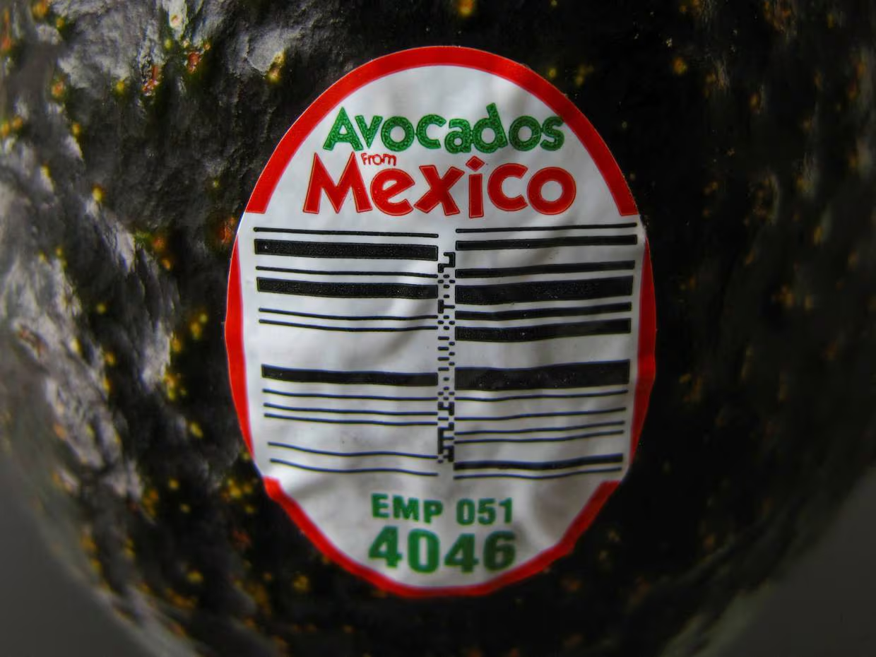 Estados Unidos planea reanudar pronto la inspección de aguacates y mangos de Michoacán: Reuters