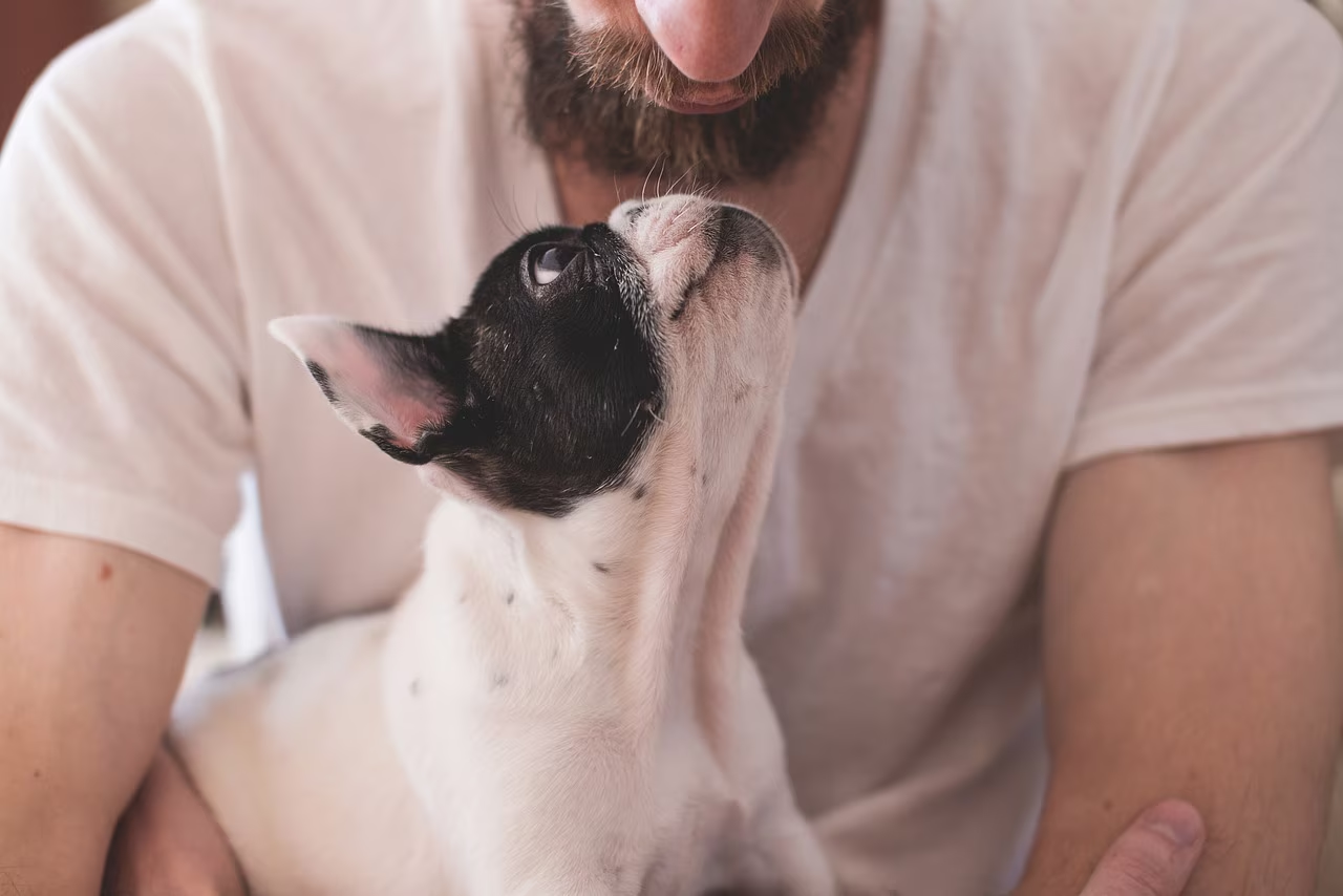 ¿Cómo advierten los perros de forma anticipada los problemas de salud de sus dueños, según ciencia?
