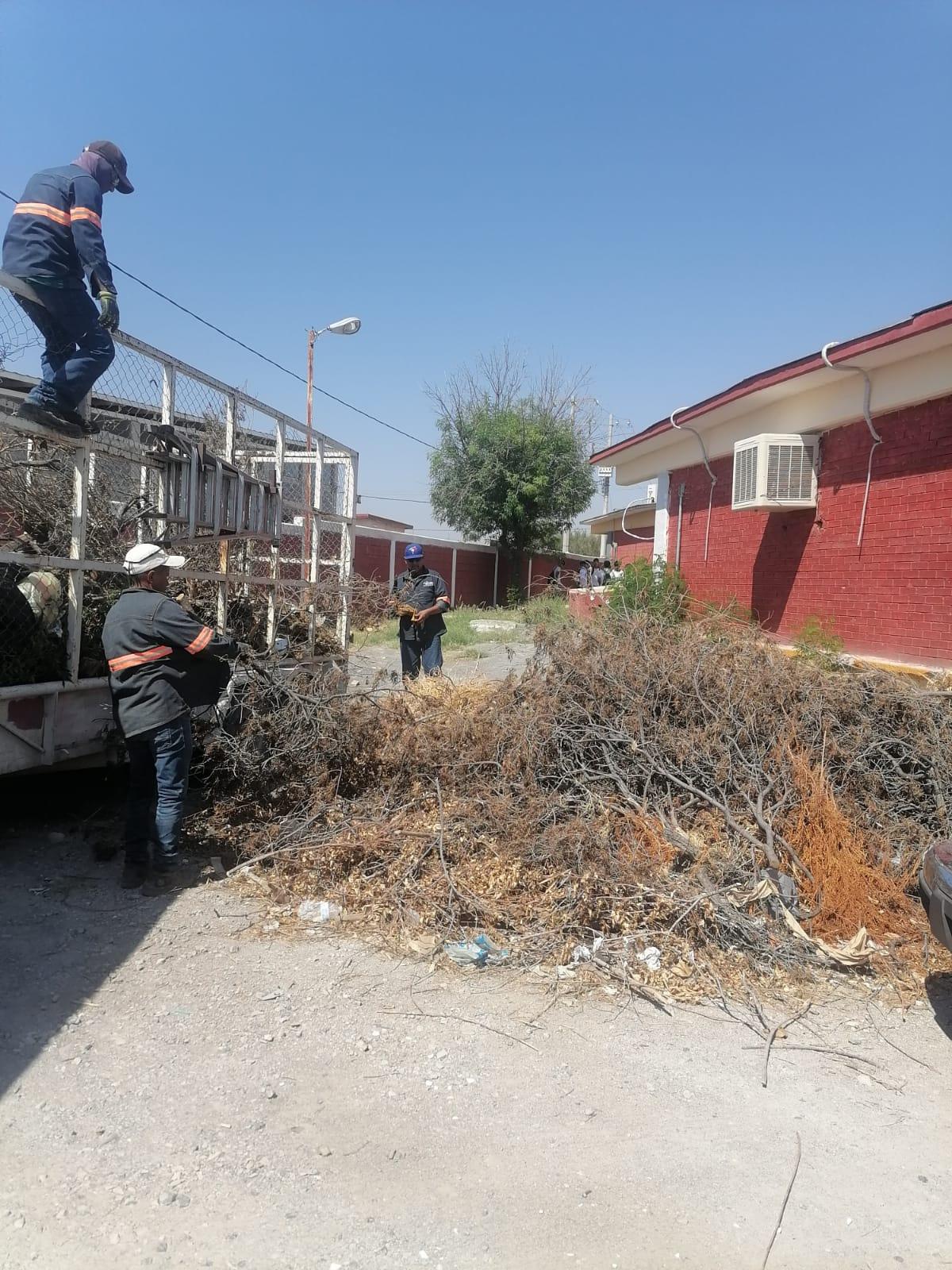 Retiran maleza de secundaria