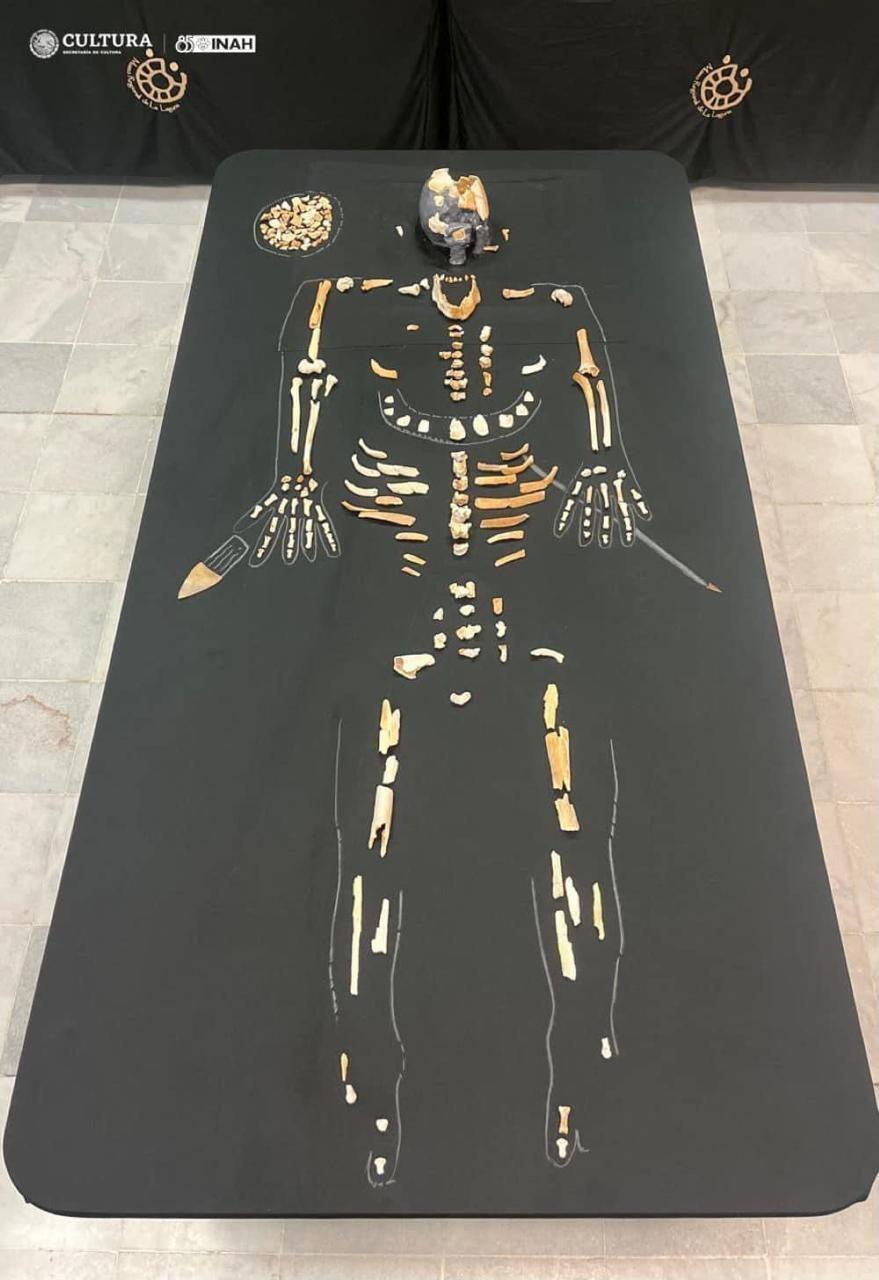 Muestran en Museo Regional al Hombre de las Dunas de Bilbao