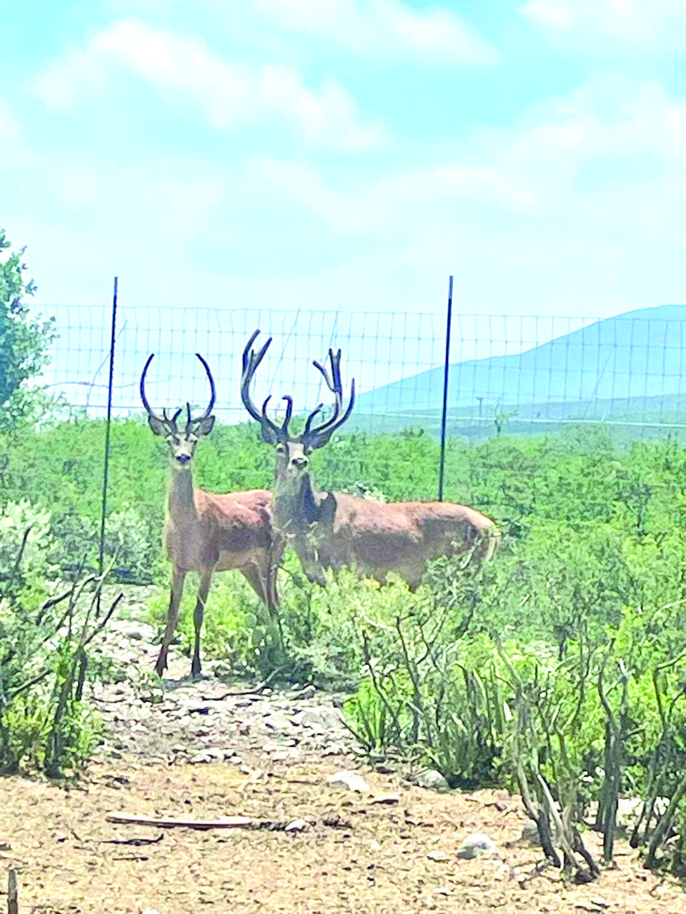 Atrae a vacacionistas Ecoparque Monclova