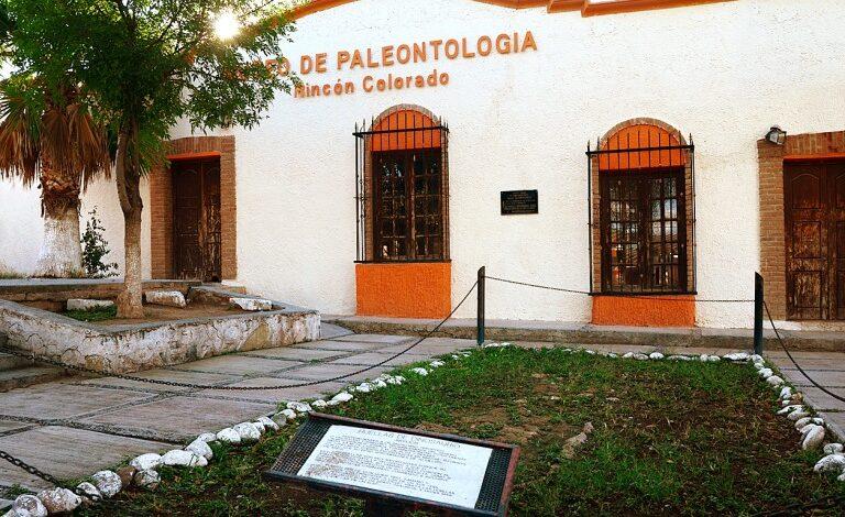 Recomienda INAH visitar los sitios paleontológicos