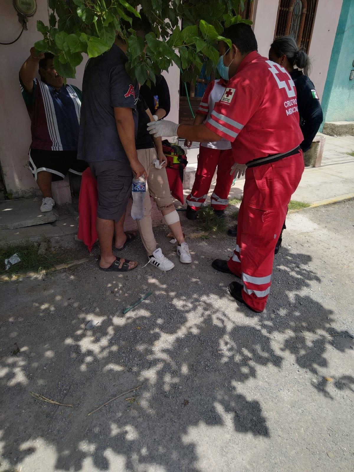 Ataca feroz perro a cuatro personas