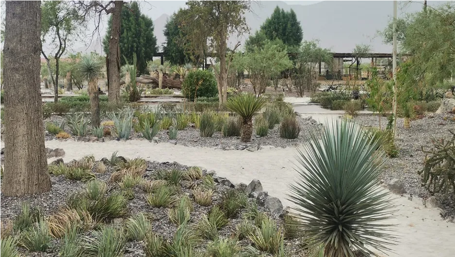 ¿Ya lo visitaste? Jardín Etnobiológico de Viesca