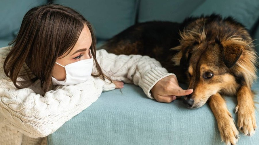 IMSS lanza alerta sobre casos de zoonosis: advierte que la atención debe ser inmediata