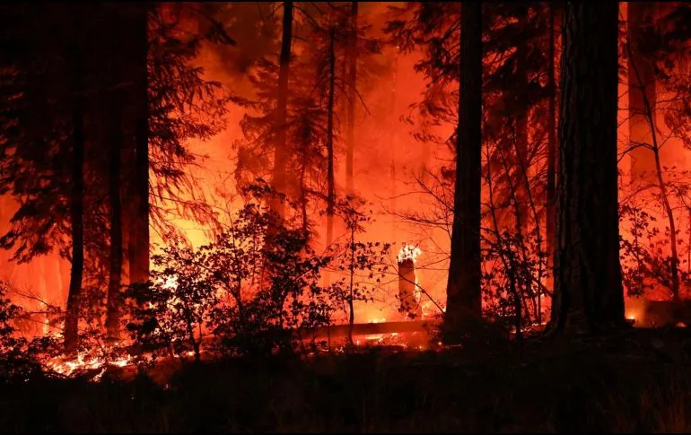 California y Canadá luchan contra incendios forestales sin control