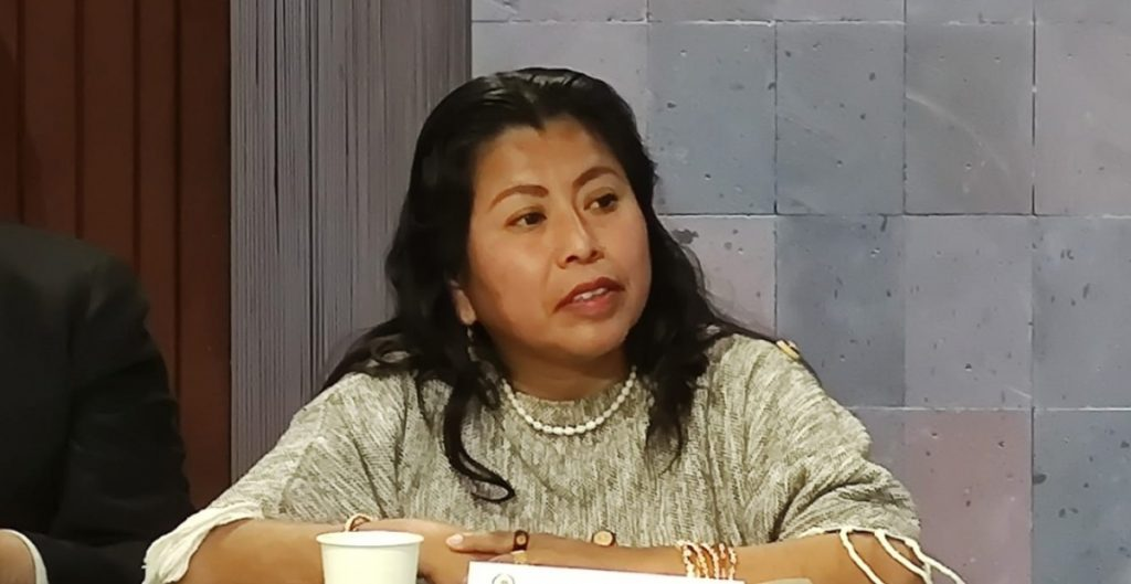 Diputada de Morena compara a López Obrador con Salinas de Gortari: “Ni vio ni escuchó” violación de derechos, asesinatos de activistas ni buscadoras