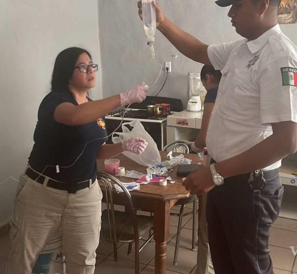 Cigüeña no espera y llega a la cocina