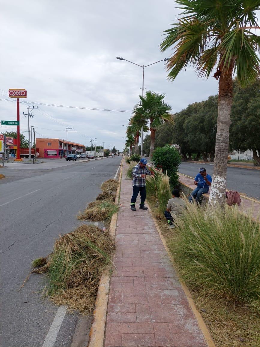 Mantiene 4C constante limpieza de bulevares
