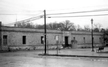 ARQUEOSAURIOS