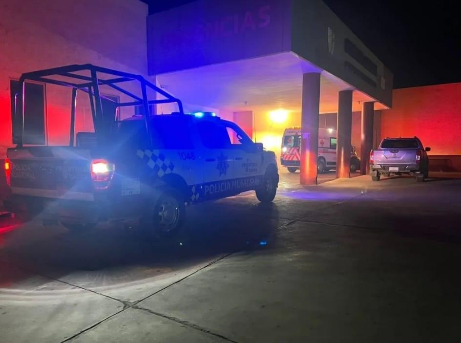 Empleado muere tras ser atacado por abejas