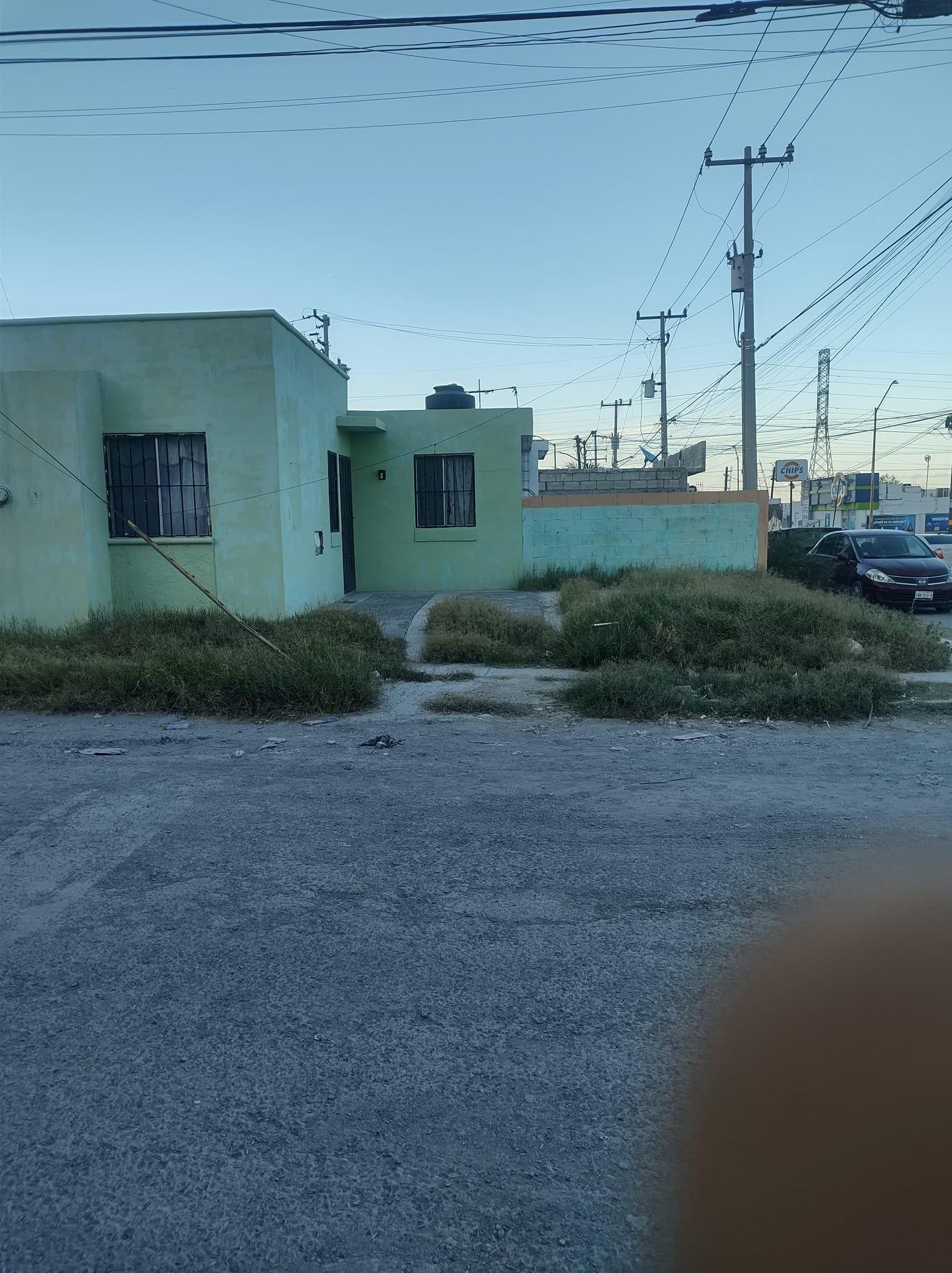 Amarrados y solos mueren dos perros