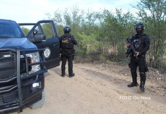 Ante juez 2 detenidos por delito de “halconeo”
