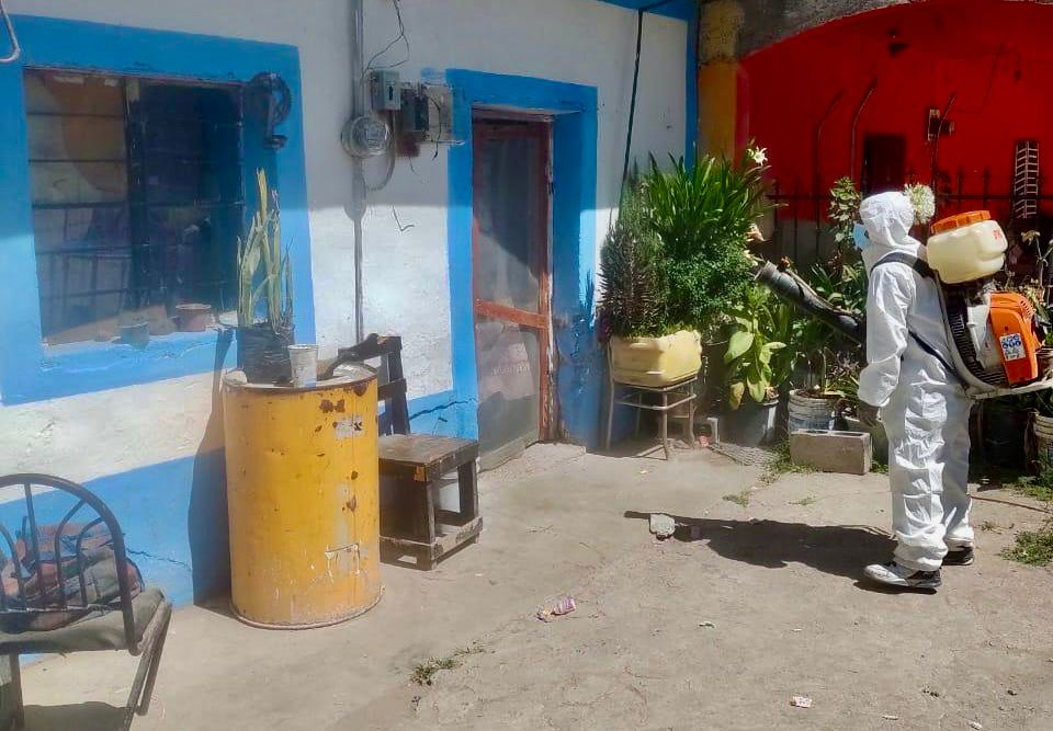 Combate Gobierno de Saltillo la Rickettsia como una prioridad