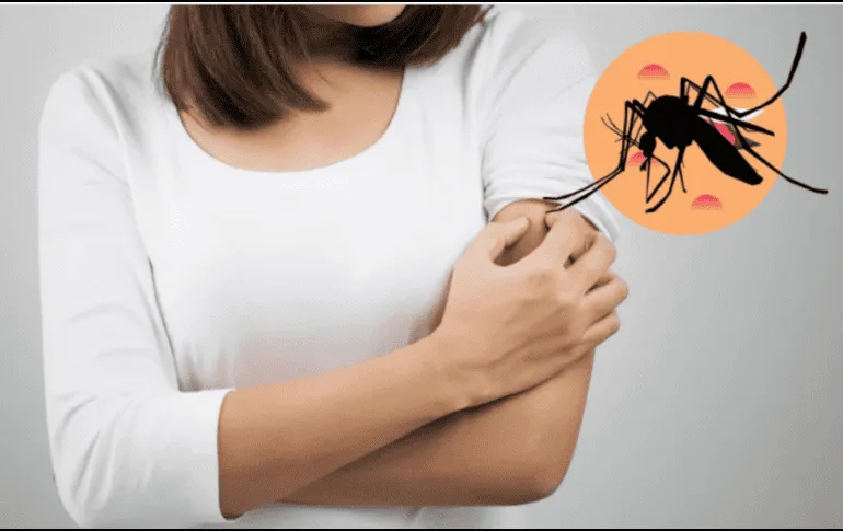 ¿Por qué los mosquitos «pican» a algunas personas más que a otras?