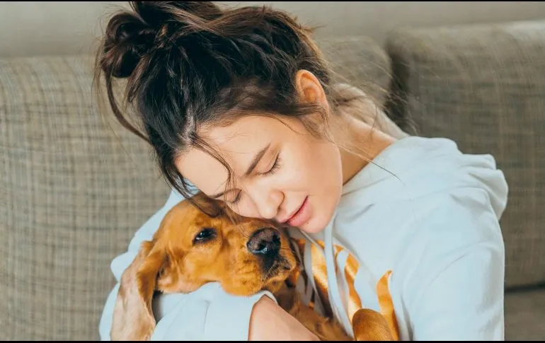 Con un perrito a tu lado es posible que puedas abatir la ansiedad y depresión