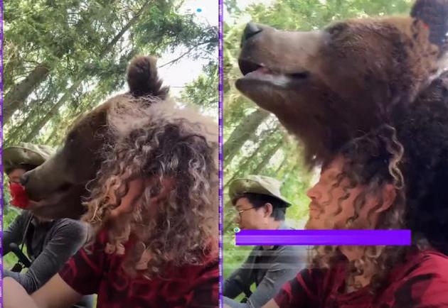 Impresionante encuentro de un hombre con un oso se hace viral; estuvo a centímetros de su cara: VIDEO