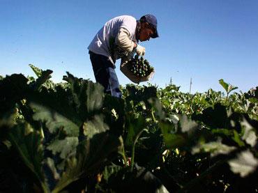 Pide Congreso asignar  recursos para el campo
