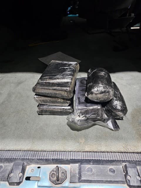 Incauta CBP más de 210 mil dólares en narcóticos