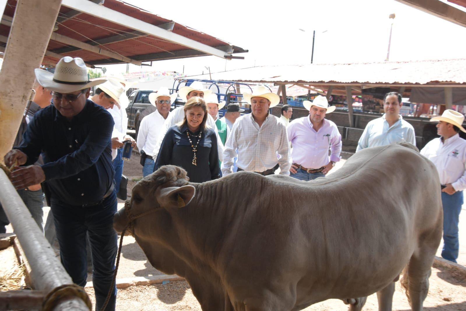 Emplea alta tecnología el Sector Agropecuario