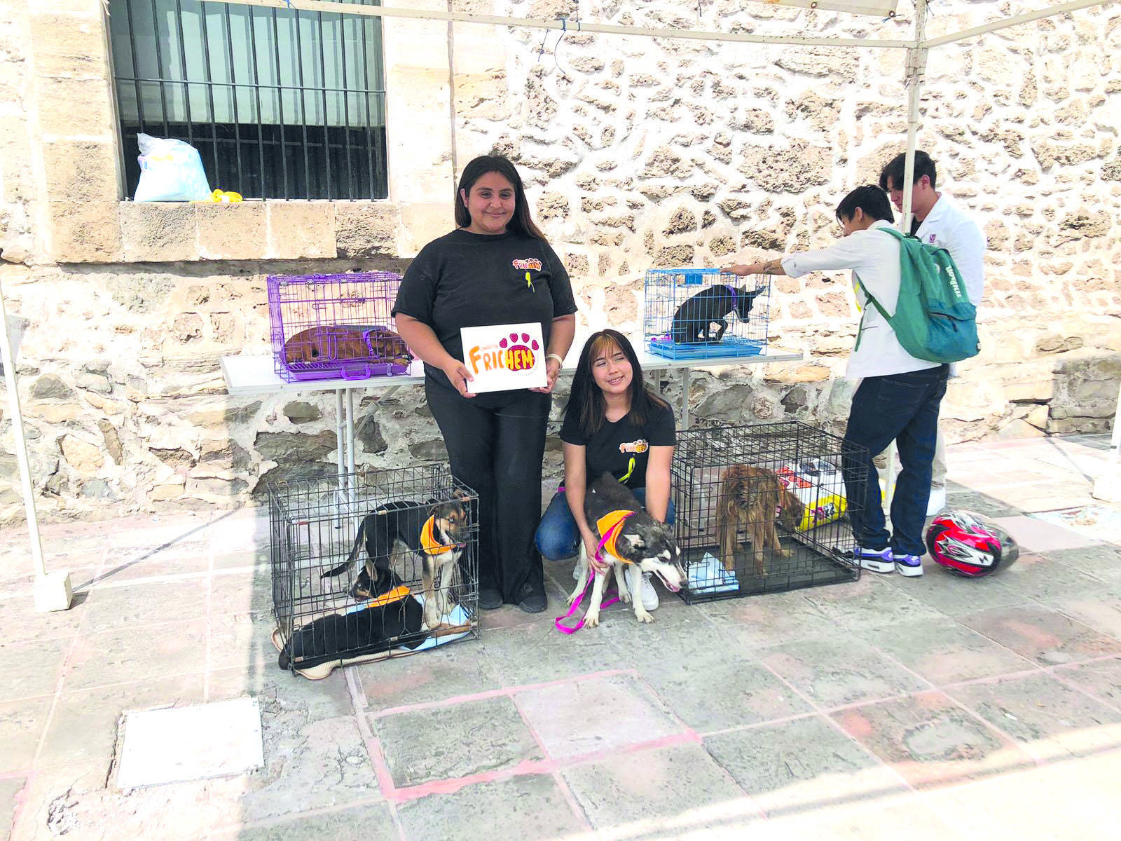 Con esfuerzos titánicos heroínas salvan perros