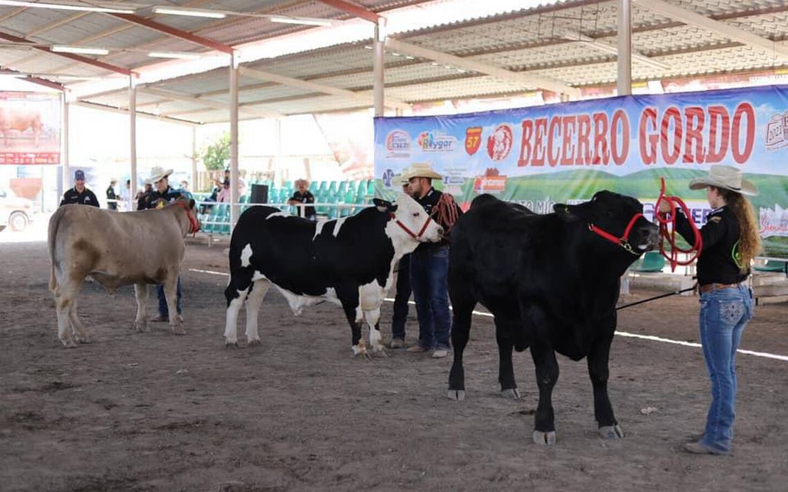 Es este domingo “Becerro Gordo”