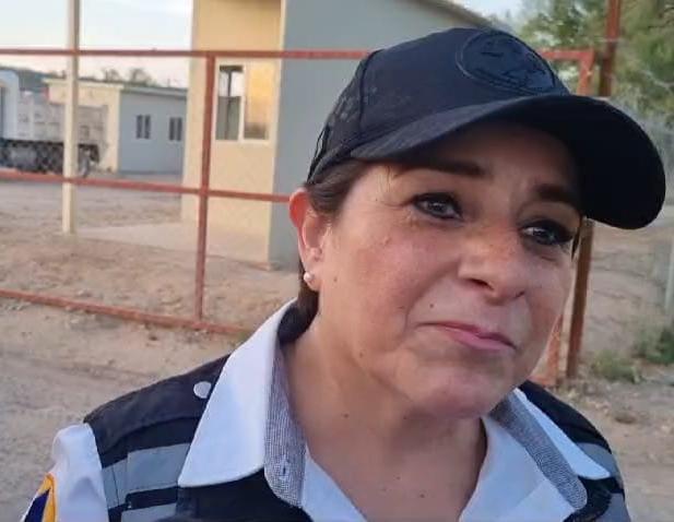 Avance de 70% en la mina El Pinabete