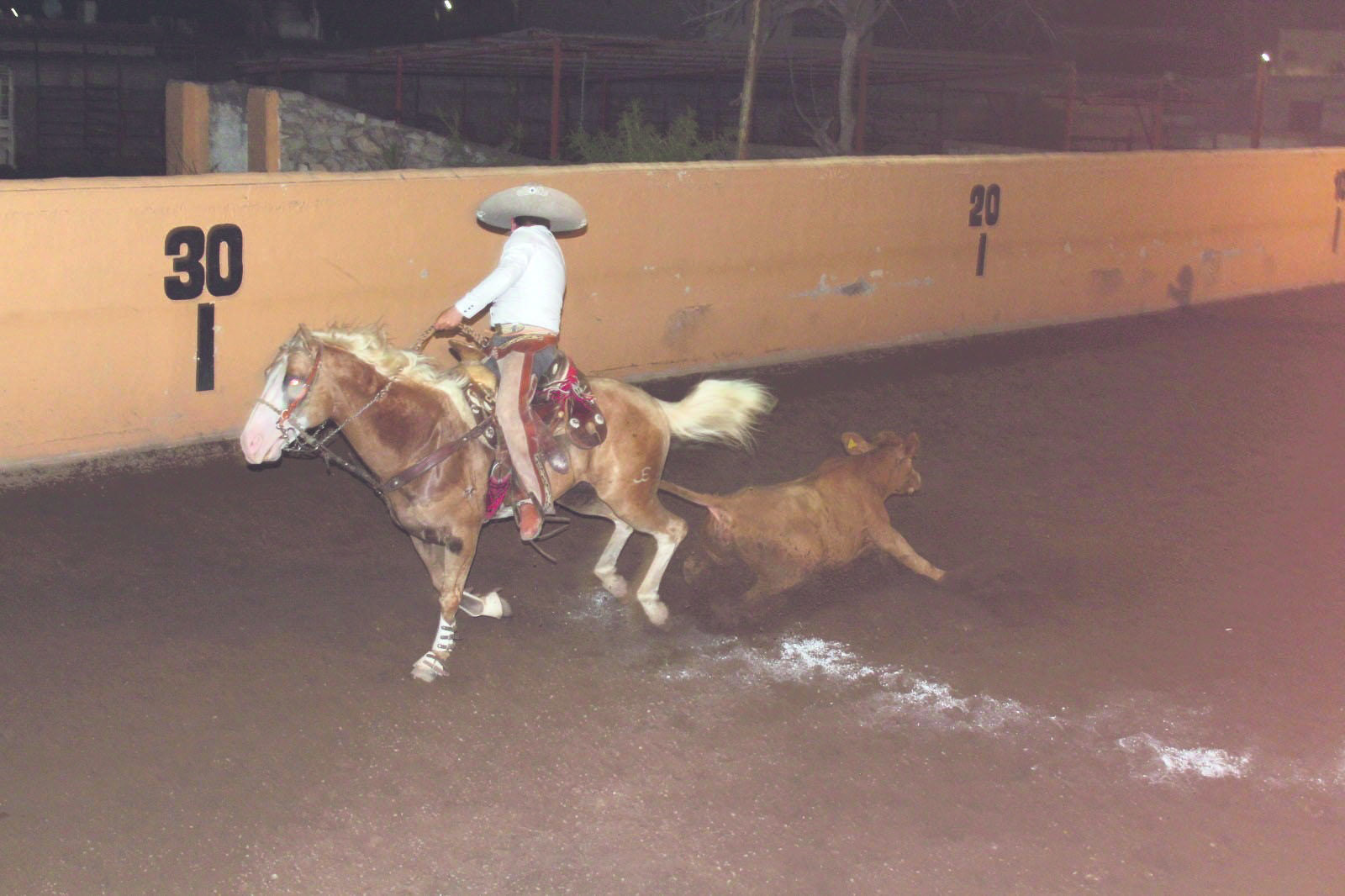 Festejan Día del Charro con tradición mexicana