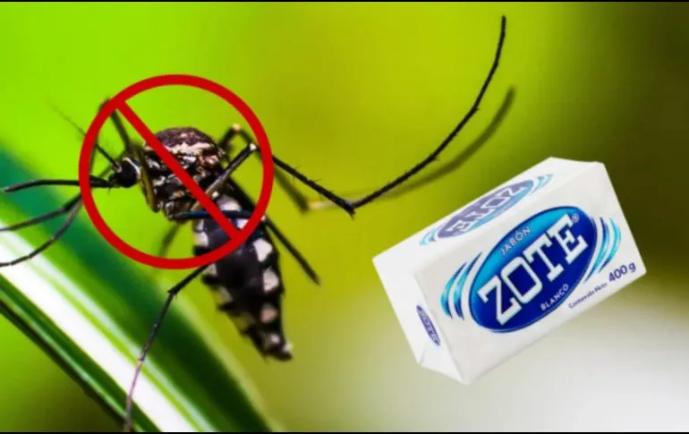 Elimina los mosquitos de tu hogar usando este truco casero con jabón Zote