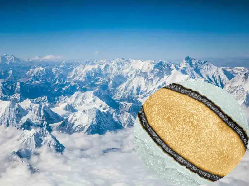 Científicos descubren más de mil ‘virus zombies’ congelados bajo el hielo de una montaña
