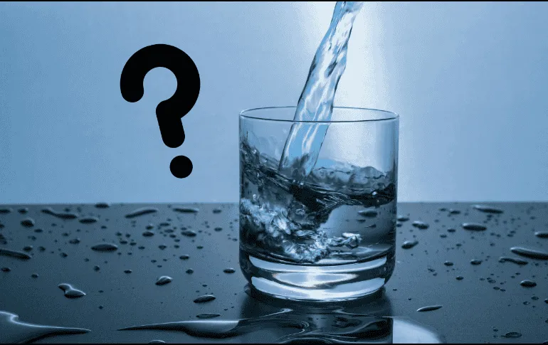¿Cuáles son las bebidas que hidratan más que el agua?