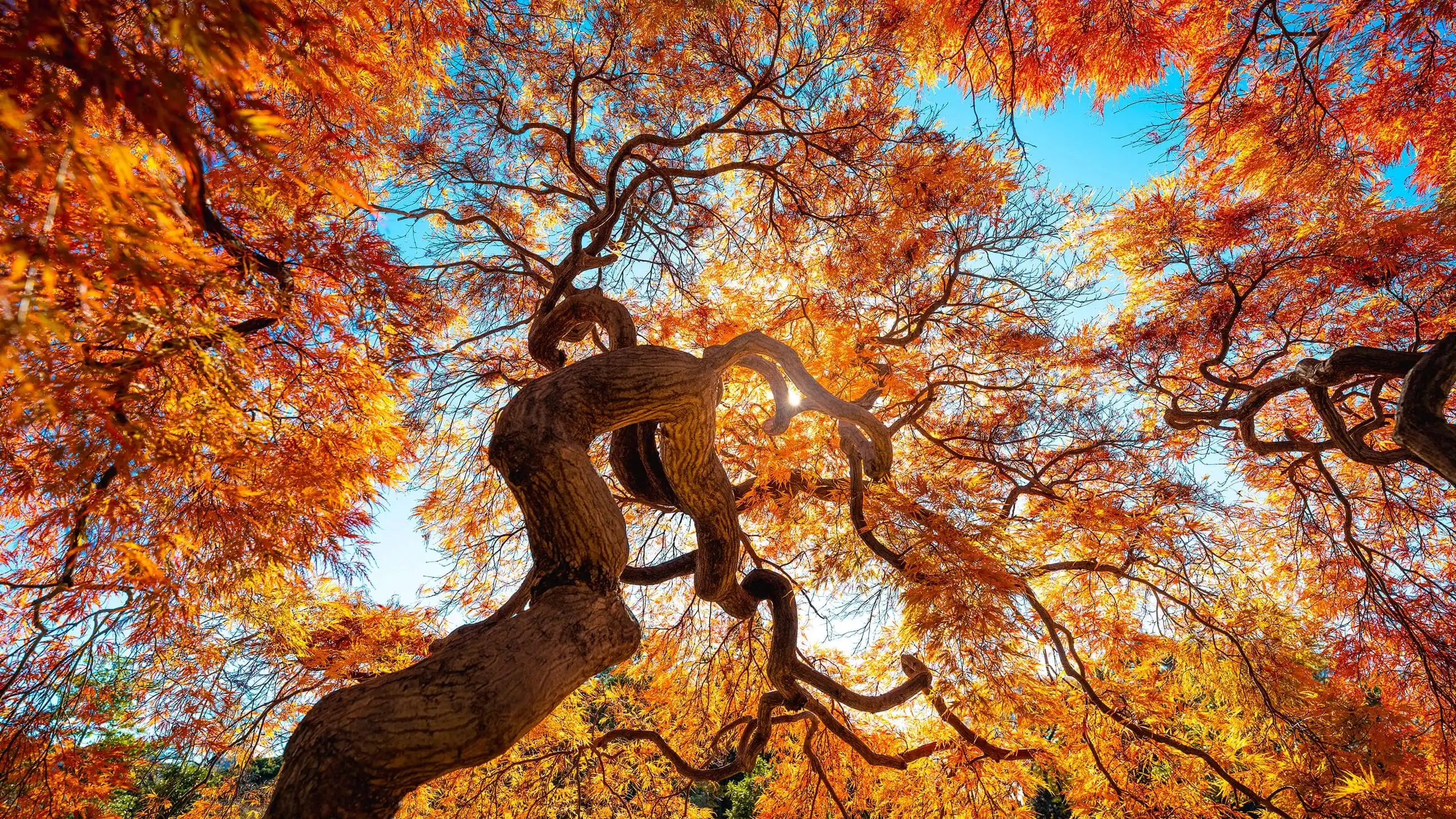 ¿Cómo afectará el equinoccio de otoño al día y la noche? A esta hora sucederá