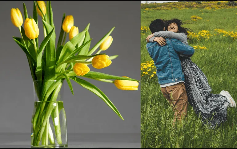 IA dice cuáles son las mejores flores amarillas para regalar
