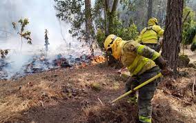 Ayuda humedad contra incendios forestales