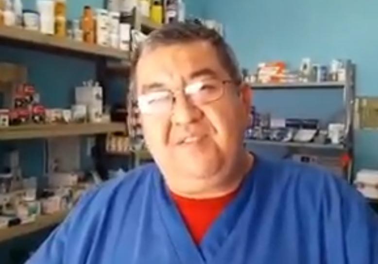 Propicia la humedad proliferación de garrapatas