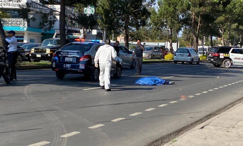 Atropella y mata a adulto mayor